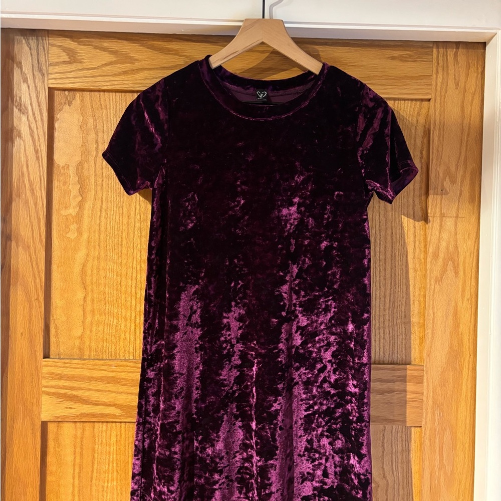 Windsor Deep Purple Velvet Mini Dress